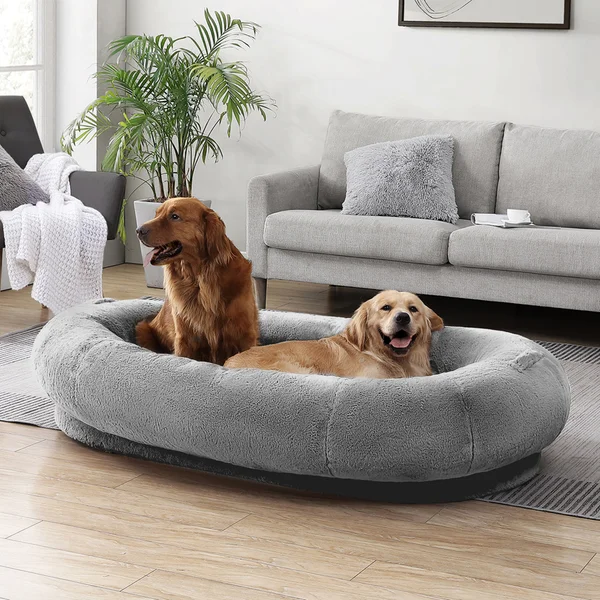 Dog Suites Near Me: In-Depth Guide to Local Luxury Pet Boarding Options