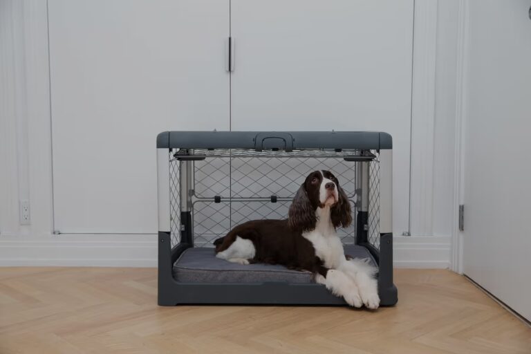 Puppy Suite: The Ultimate Comfort and Care Solution for Your Pup